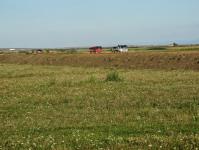 Imagine atasata: A1-Tm-Lg-dorum-2014-Aug-07.JPG